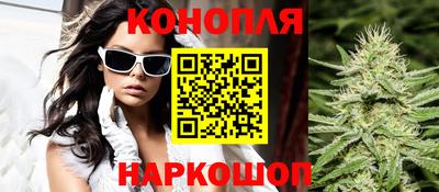 амф Новозыбков